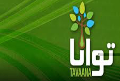 tavaana